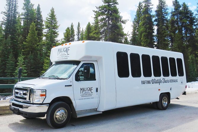 Jasper Wildlife and Waterfalls Tour With Maligne Lake Hike - Pickup Information