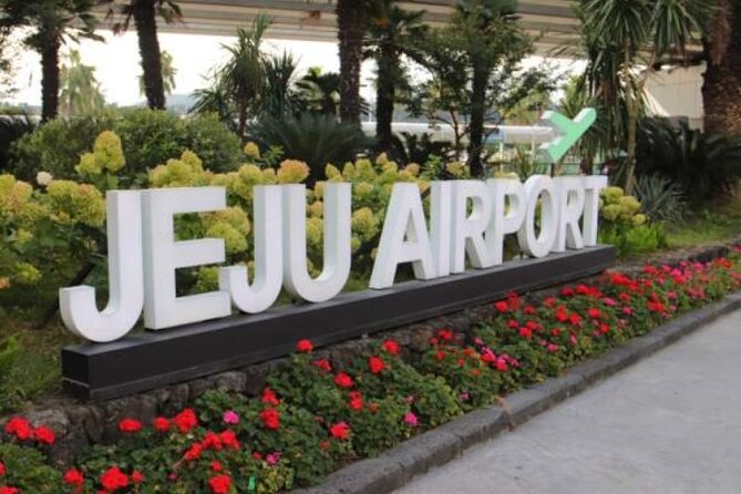 Jeju Airport Transfer - Customer Feedback Highlights
