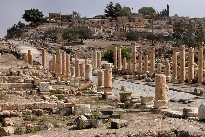 Jerash, Ajloun, and Umm Quais Full-Day Tour - Tips for Your Tour