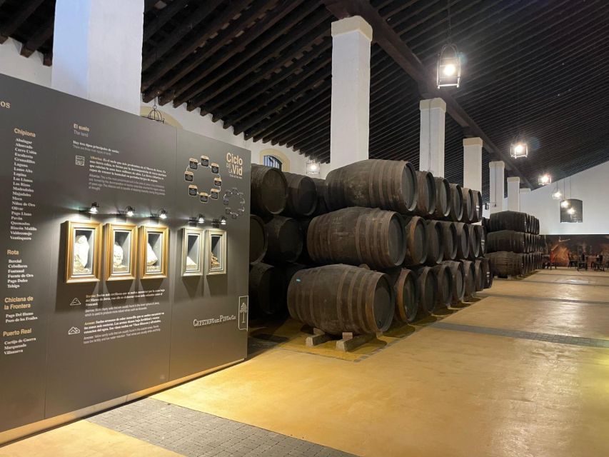 Jerez De La Frontera: Sherry Winery Tour With Tasting - History of Jerez, Wine, and Cayetano Del Pino Winery