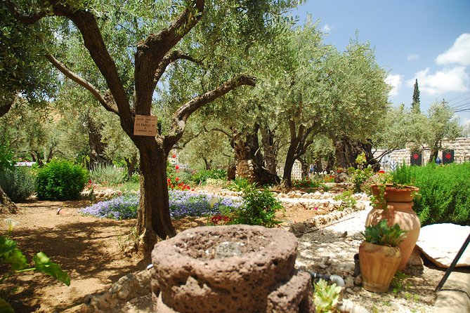 Jerusalem Tour From Tel Aviv: in the Footsteps of Jesus - Tips for Travelers