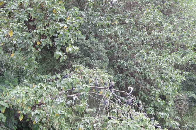 Jinja Tour & Source of River Nile - Confirmation