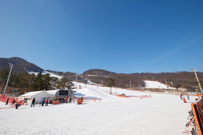 Jisan Ski Resort Serving Breakfast From Seoul (No Shopping) - Guest Experiences