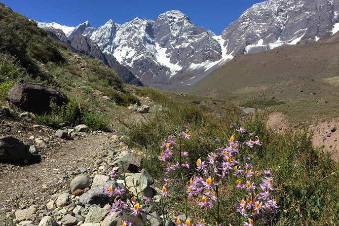 Juncal Andean Park: Hiking Over a Glacial Tongue - Accessibility and Restrictions