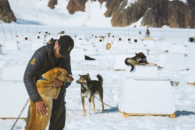 Juneau Shore Excursions: Helicopter Dogsledding Experience and Additional Glacier Landing - Customer Feedback