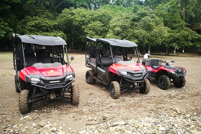 Jungle & River Buggy & Crocodile Tour. Puntarenas Shore Excursion - Tour Highlights and Activities