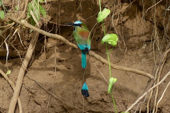 Jungle Safari in Playa Samara - Booking and Cancellation Policies
