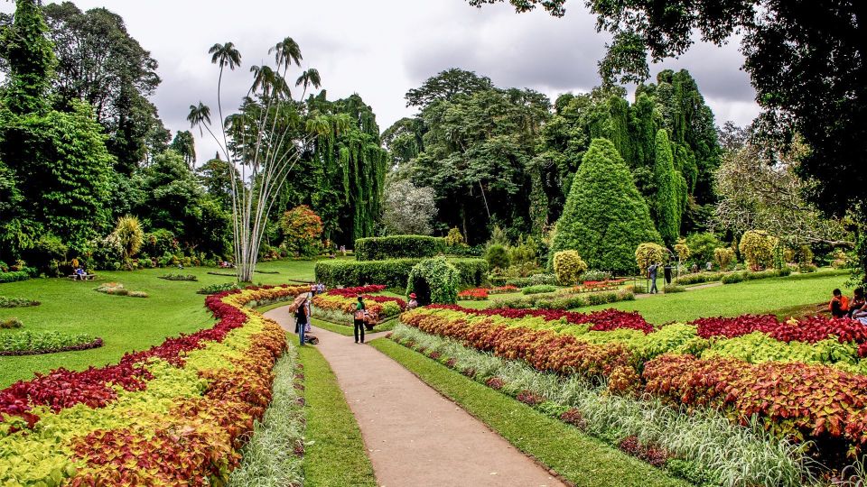 Kandy: All-Inclusive Afternoon City Tour - Botanical Garden Visit