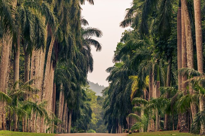 Kandy City Tour From Colombo - Additional Attractions