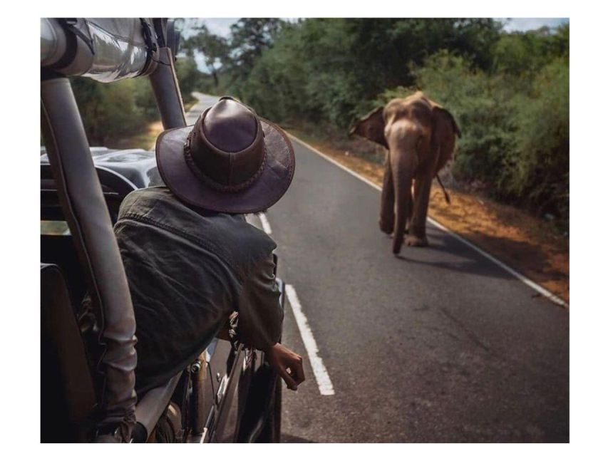 Kandy to Sigiriya Day Tours Tuk Tuk by Local - Inclusions and Exclusions