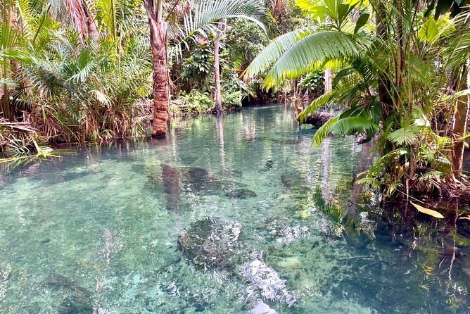 Kayak at Klongnamsai (Klong Root) - Booking Information