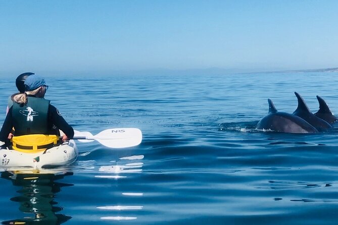 Kayak Rental for Two People in La Jolla - Safety Guidelines and Restrictions