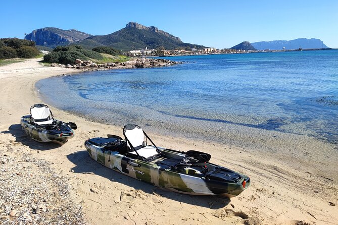 Kayak Tour in Golfo Aranci With Aperitif and Dolphin Watching - Preparing for the Kayaking Experience