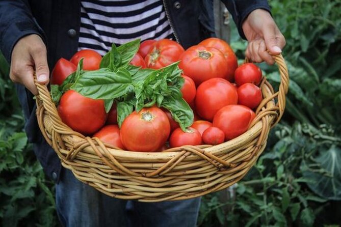 Kefalonia: Myrtos Beach Relaxation and Farm Flavors - Recommended Attire and Accessibility