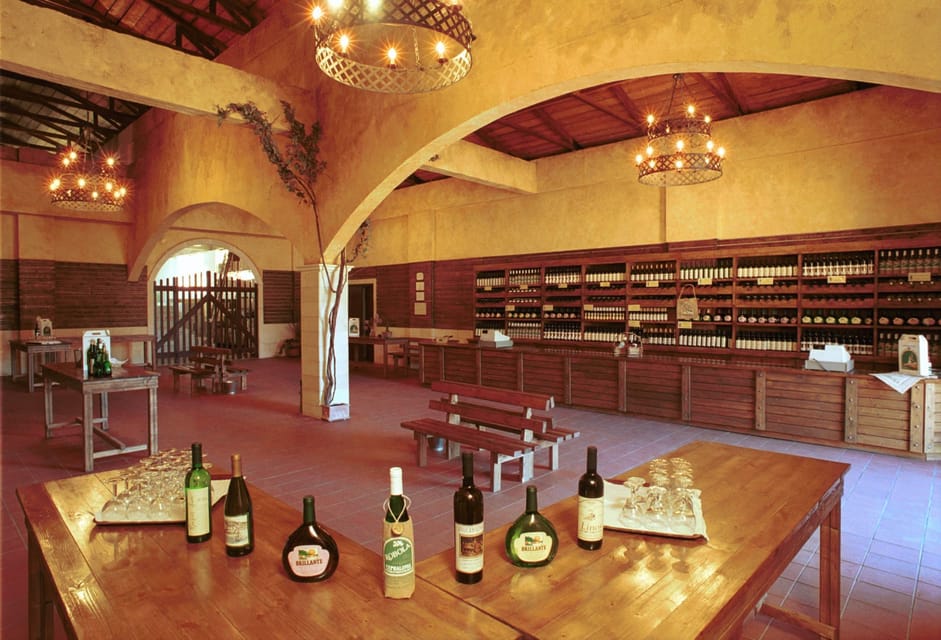 KEFALONIA: WINE TASTING TOUR - Winery Visit and Wine Tasting