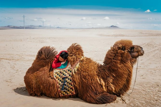 Kharkhorum, Khustai, Mini Gobi & Ger Under the Stars: 3-Day Tour - Pickup Information