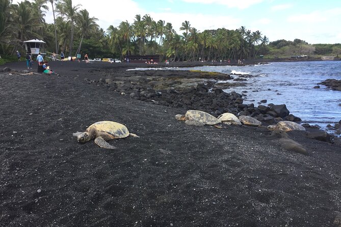 Kilauea Summit to Shore From Kona: Small Group - Tips for a Memorable Experience