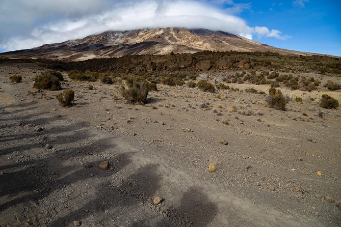 Kilimanjaro Climb, Lemosho Route (6-Day) - Unique Highlights of the Lemosho Route