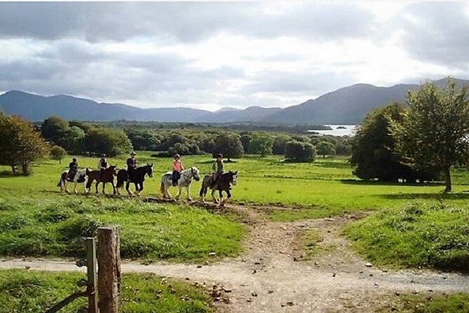 Killarney National Park Horseback Ride. Co Kerry. Guided. 3 Hours. - Customer Reviews