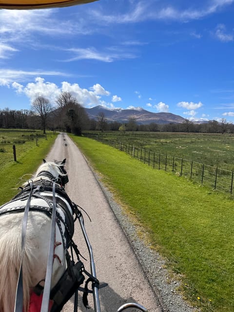 Killarney National Park Tour - Customer Reviews