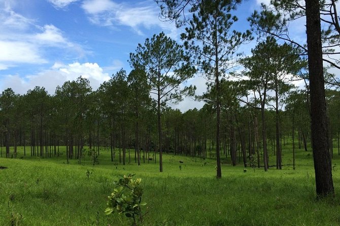 Kirirom National Park Private Day Tour From Phnom Penh - What to Expect During the Tour