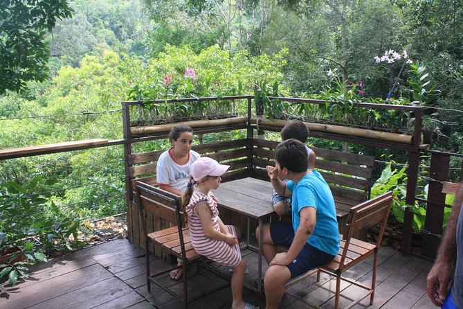 Koh Samui Jungle Safari Around the Island Tour - Reviews and Feedback