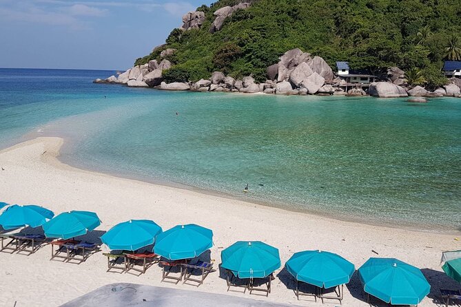 Koh Tao & Koh Nangyuan Snorkeling Trip By Speedboat From Koh Phangan - Booking Information