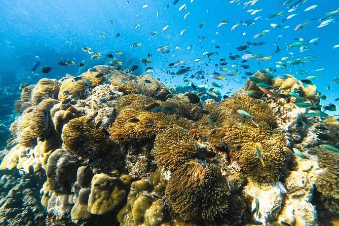 Krabi 7 Islands Sunset & Bioluminescence by Longtail Boat - Cancellation Policy
