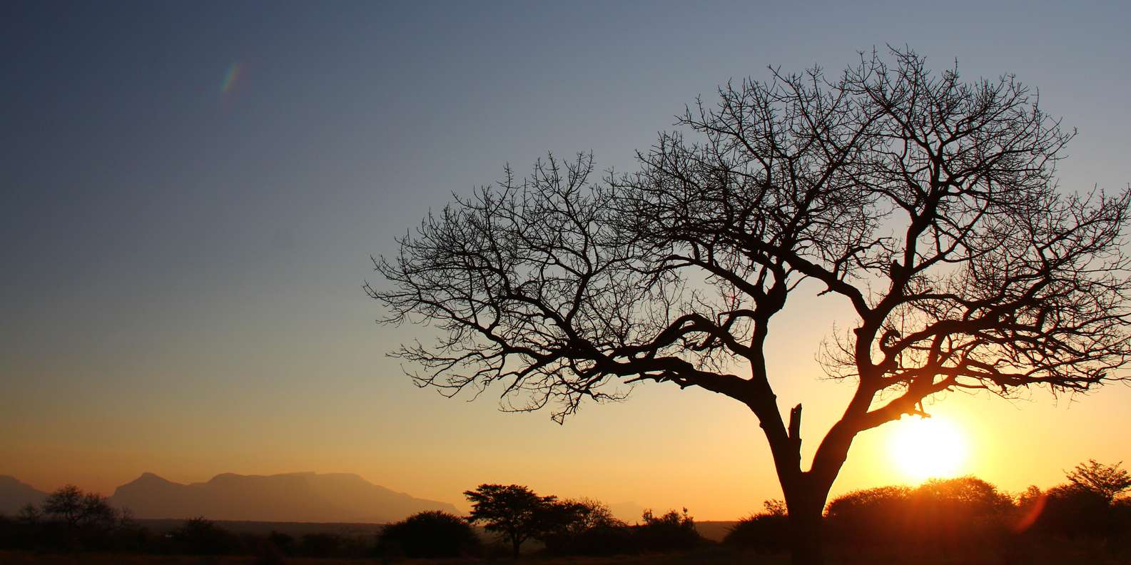 Kruger National Park: 3-Day Essence of the Kruger Safari - Safari Inclusions