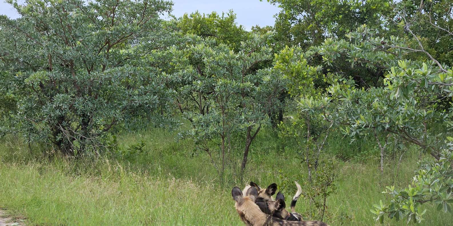 Kruger National Park: 3 Day Tour From Johannesburg/Pretoria - Packing and Preparation