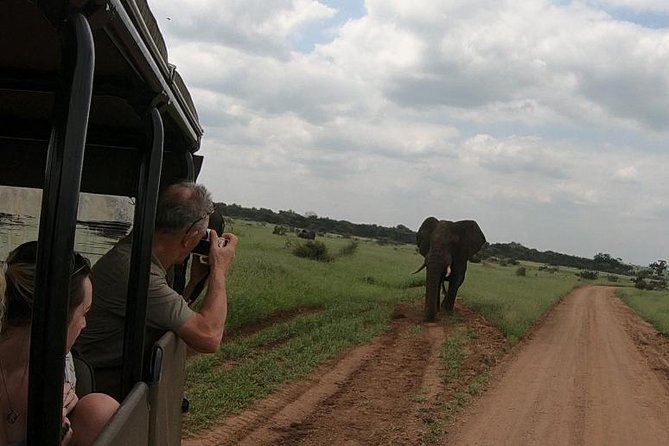 Kruger National Park Private Full-Day Safari - Private Safari Vehicle & Guide - Traveler Feedback and Reviews