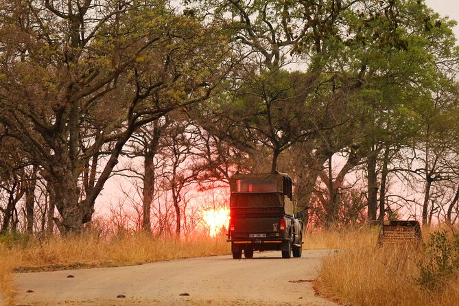 Kruger National Park Sunrise Morning Private Safari - What to Expect During the Safari