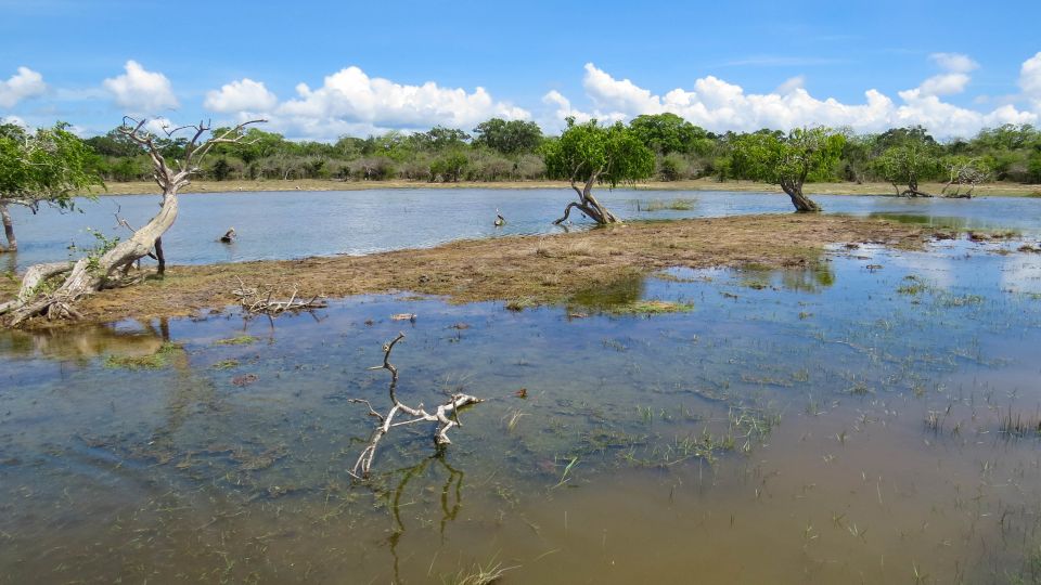 Kumana: Private 3-Hour Kumana National Park Safari - Cancellation and Refund Policy