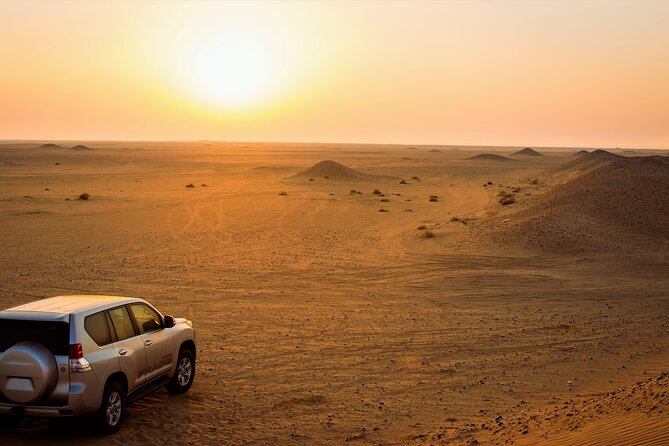 Kuwait Desert & City Half Day Private Tour Local Licensed Guide - Customer Testimonials