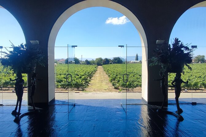 La Rioja: Wine Cellars and Laguardia Private Tour  - Pamplona - Winery Visits and Tastings