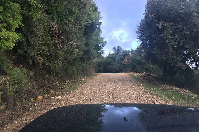 Land Rover Safari Corfu South Route - Recommendations for Travelers