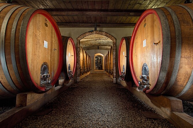 Langhe (Piedmont): Wine Tasting Experience - Focus on Nebbiolo and Barolo