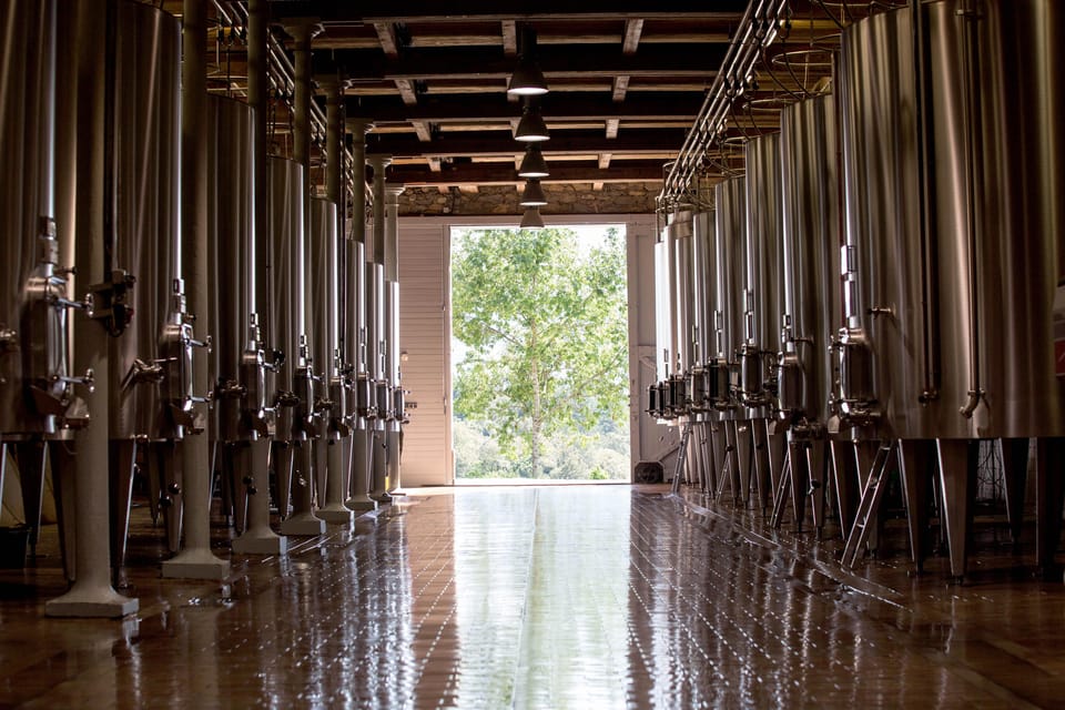 Languedoc: Heritage Tour & Tasting at Domaine De Baronarques - Historical Estate and Winemaking