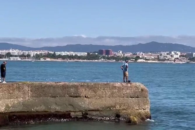 Lisbon Cruise With Dolphin Watching - Safety Measures and Protocols