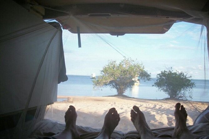 Live the Best 10 Attractions in Alter Do Chão - Customer Feedback and Booking