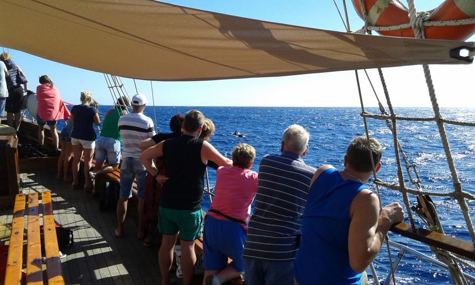 Los Cristianos: Whale-Watching Tour With Swimming Stop - Recommended Attire