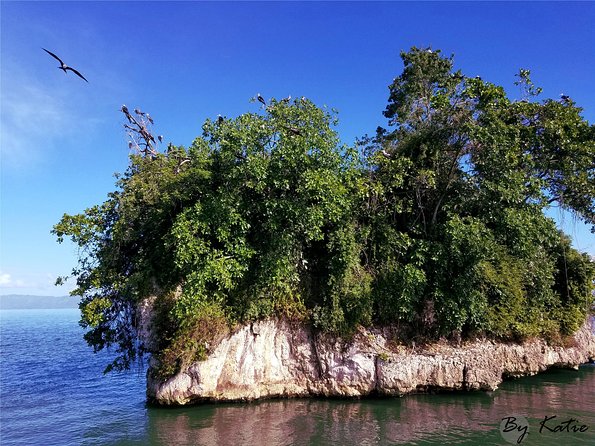 Los Haitises Plus Bacardi Island for Samana Cruise Ship Travelers - Exploring Bacardi Island