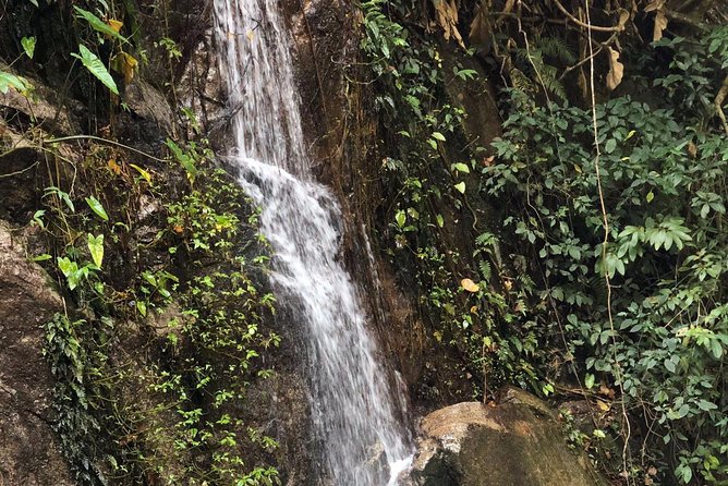 Lost in Chiang Mai - Secret Village, Hot Spring & Waterfall - A Cultural Therapy - Traveler Reviews and Feedback