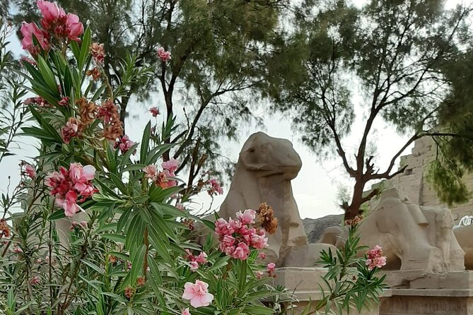Luxor Full Day Tour - Luxor Temple Sightseeing