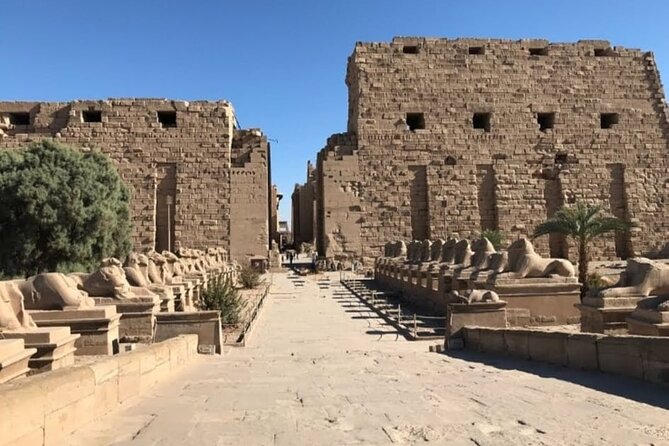 Luxor Private Excursion From Hurghada Makadi Bay Soma Bay Sahl Hasheesh Elgouna - Pricing Structure