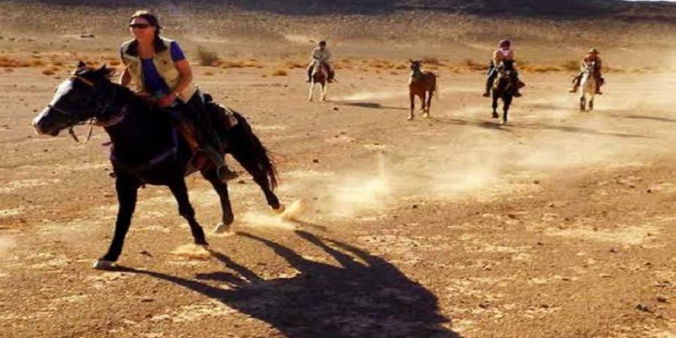 Luxor: Scenic Camel or Horse Ride - Customer Reviews