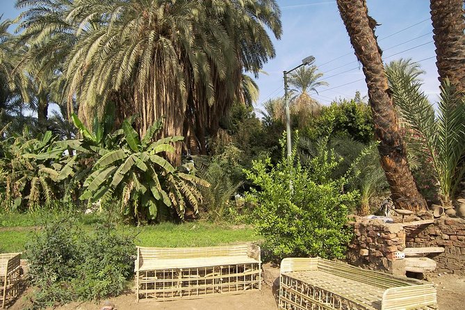 Luxor Sunset Felucca Ride With Lunch or Dinner on Board - Accessibility Features