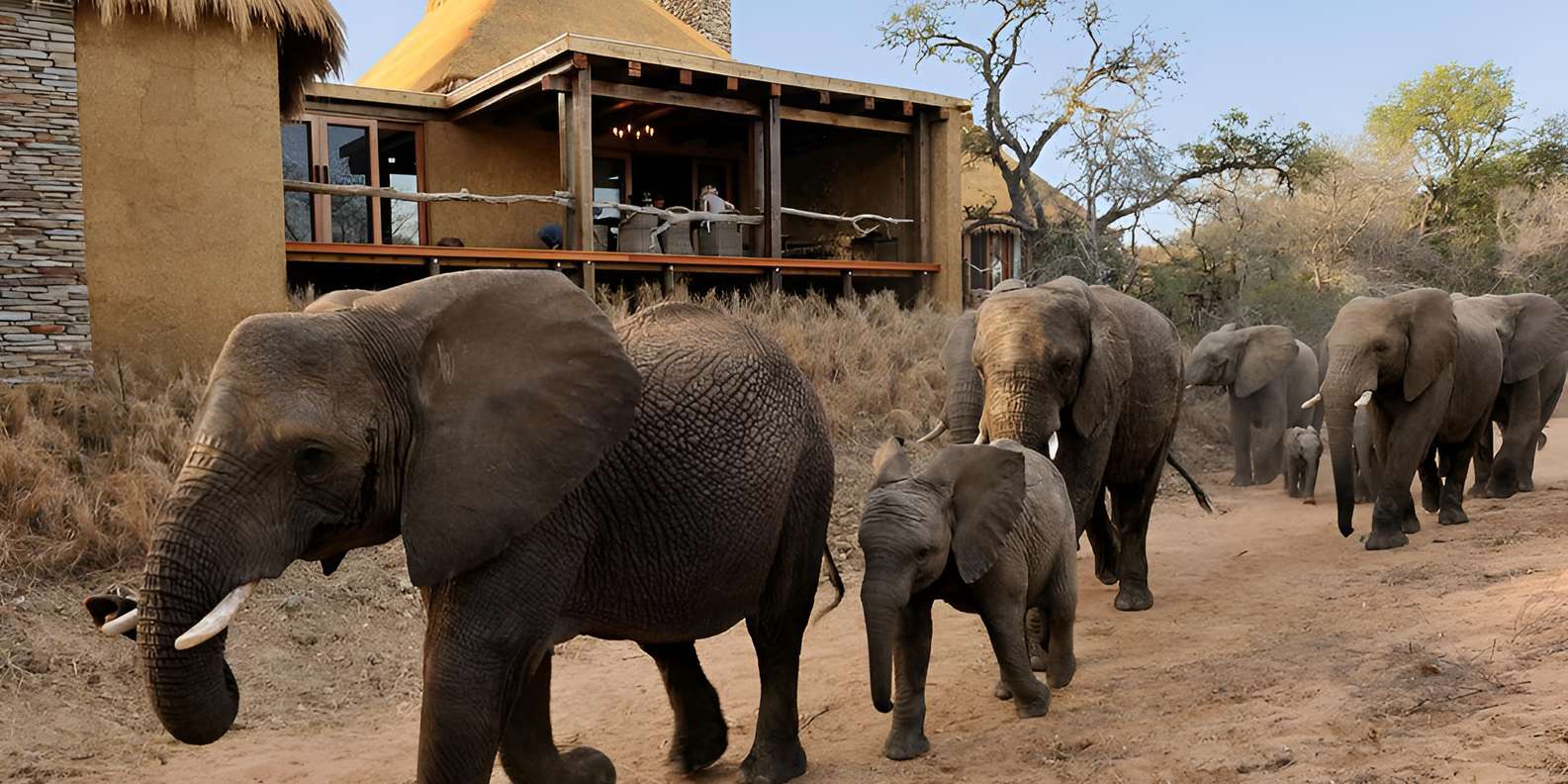 Luxury 5 Day Kruger Park All Inclusive Safari From Joburg! - Accommodation and Amenities