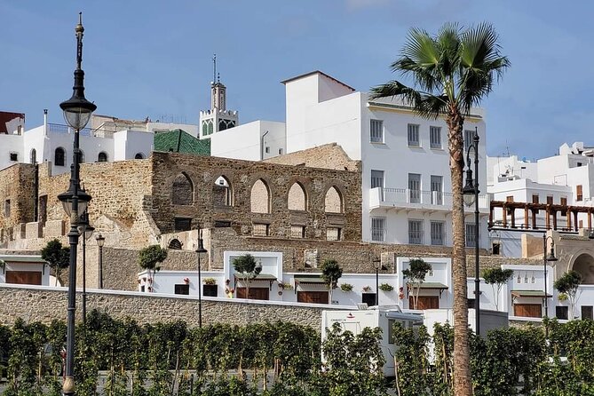 Luxury Full Private Day Tour To Tangier Including Ferry Ticket - Accessibility Options