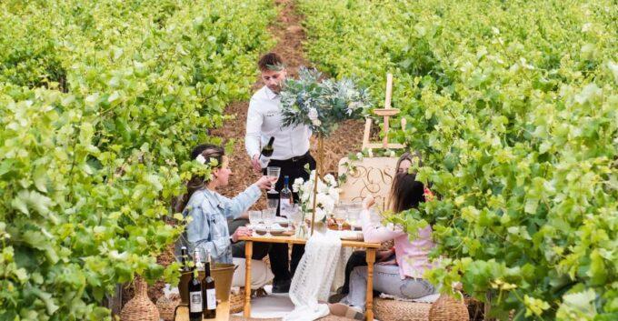 Luxury Picnic Gathering & Wine Tasting at Kerateas Vineyard - Gourmet Picnic Menu